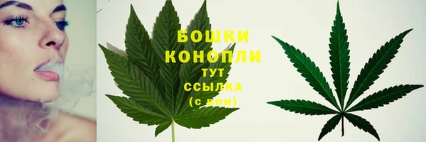 ECSTASY Балабаново