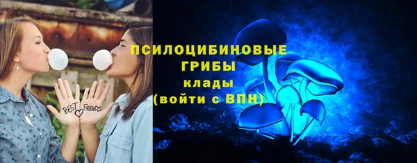 гашик Беломорск
